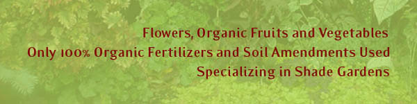 Flowers, Organic Fruits and Vegetable. Specializing in Shade Gardens